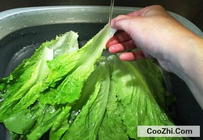 你知道如何滤去滤去蔬菜上的残留农药吗