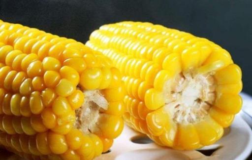 吃玉米能不能減肥