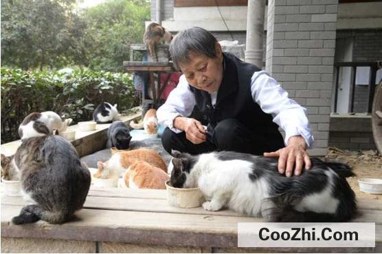 怎样避免猫咪挑食