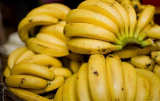 冬季吃香蕉可以减肥吗