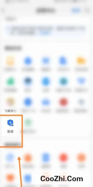 支付宝怎么进行医疗消费明细查询