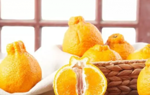 丑橘的保存方法