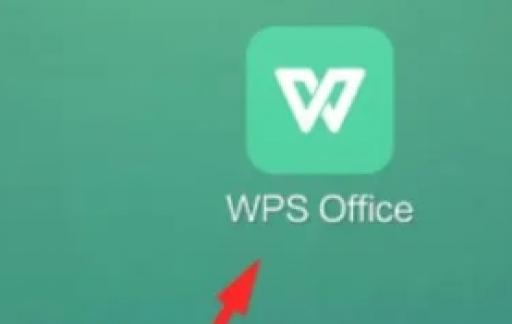 WPS office如何设置数字以文本形式储存