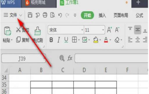 WPS如何去除表格虚线