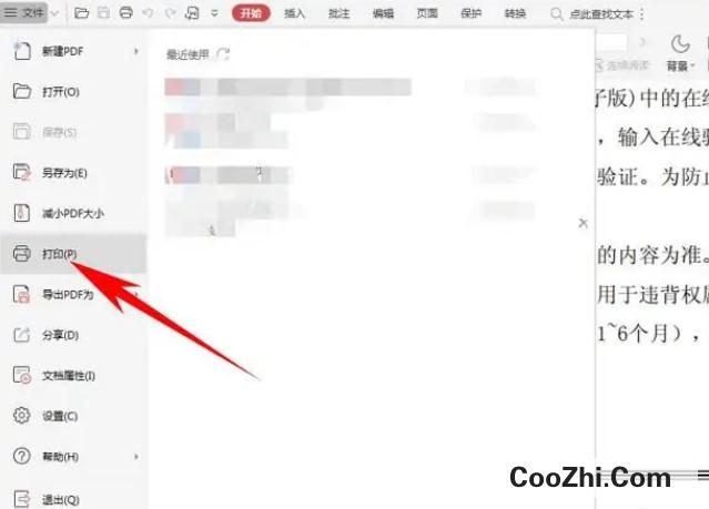 WPS使用技巧之PDF文件如何打印