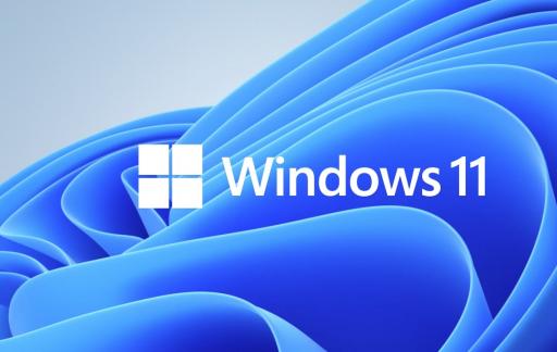 win11窗口动画效果如何设置