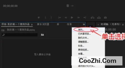pr序列预设怎样选应该选什么