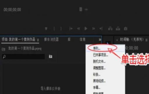 pr序列预设怎样选应该选什么