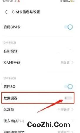 vivo手机怎么开启数据漫游
