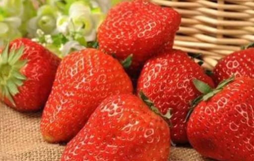 草莓怎么保存不容易坏