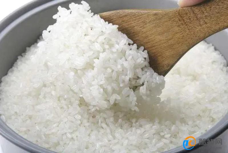 煮绿豆米饭要提前浸泡多久