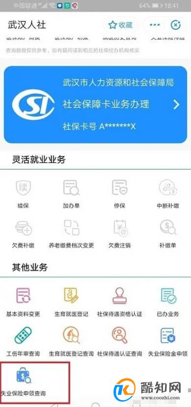 怎么查询失业保险金领取记录