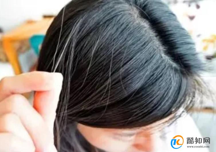 白头发为什么不能拔