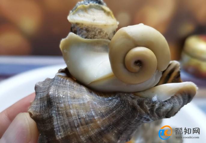 蒸海螺有股臭味正常吗