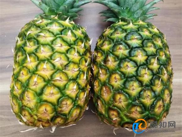 菠萝和凤梨有哪些区别（叶子）