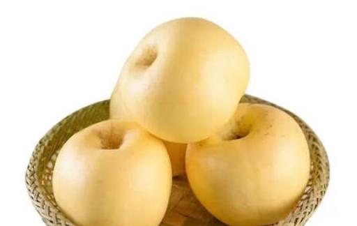 黄金维纳斯苹果和奶油富士是一个品种吗（不是）
