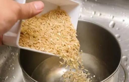 糙米怎么煮