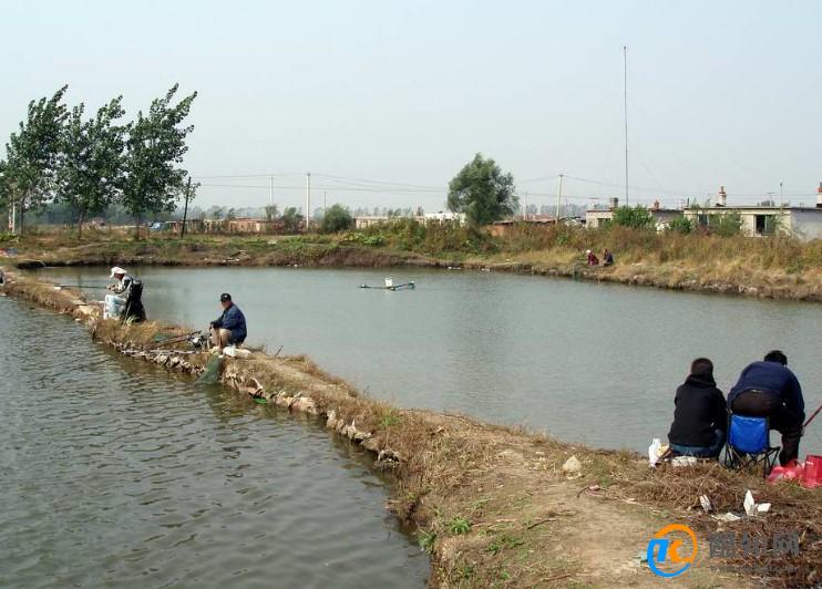 2023禁渔期河流旁边有个水坑能钓鱼吗
