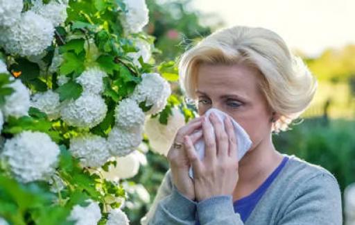 花粉过敏是免疫力低还是高
