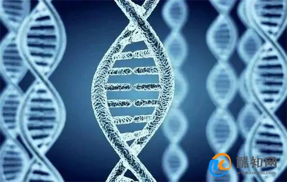人真的能通过改造基因实现永生？