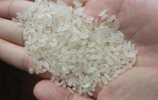香精大米的危害有哪些