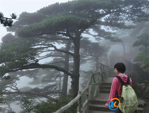 黄山爬上去要几个小时 爬黄山要多长时间