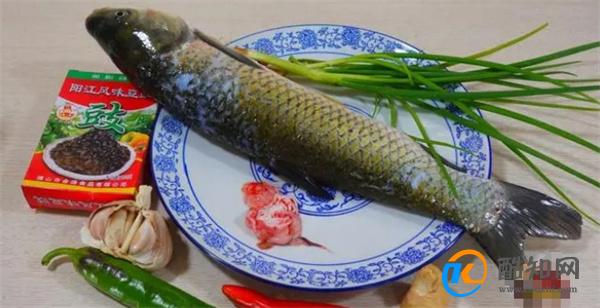 草鱼的新吃法，不炖不煮不放一滴水，营养美味，上桌就扫光！优质