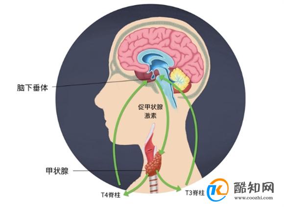 晚上睡觉嘴巴总是“发干” 别以为是缺水 或是4种疾病“预警”