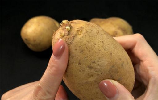土豆中毒如何解毒