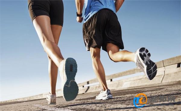 以减肥为目的 跑步和力量训练 哪种更难坚持 