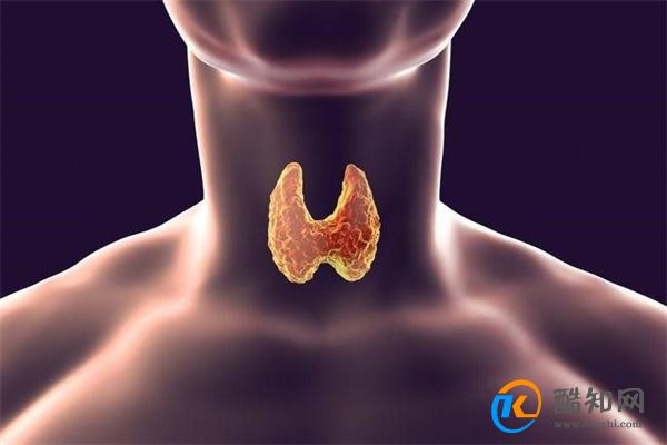 鹅肉是甲状腺结节的加速剂吗 医生直呼：1蛋3菜尽量少吃