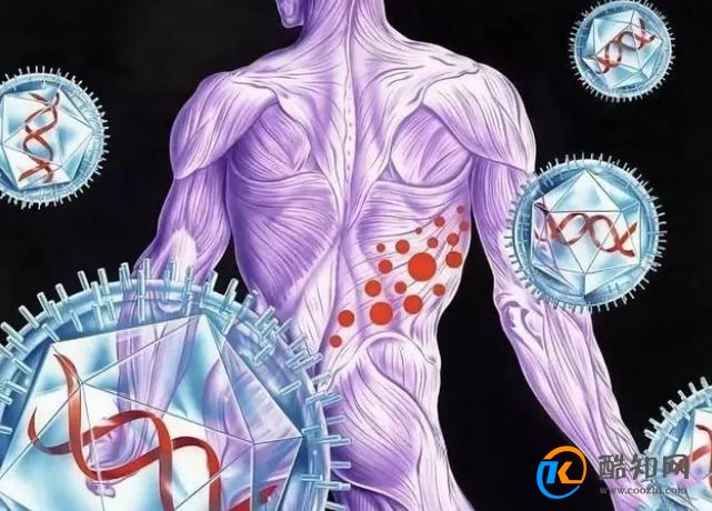 带状疱疹又叫“缠腰蛇”，该怎么治？医生：这10类人易被盯上！