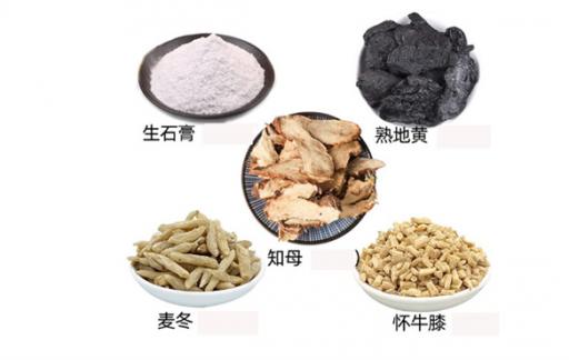 玉女煎的组成与功效有哪些