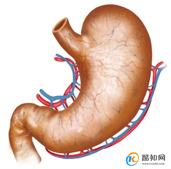 优质俗话说“十人九胃”，若身体出现这10种情况，请尽早去做胃镜检查(图1)