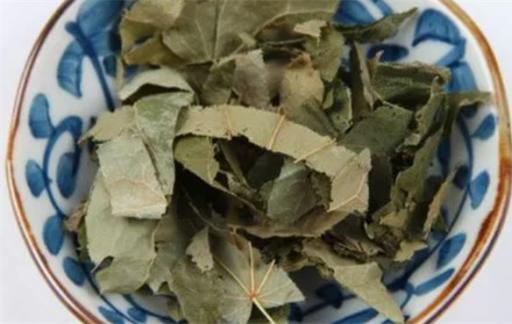 淫羊藿的功效是什么 禁忌人群有哪些