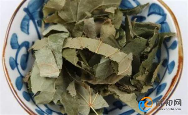 淫羊藿的功效是什么 禁忌人群有哪些
