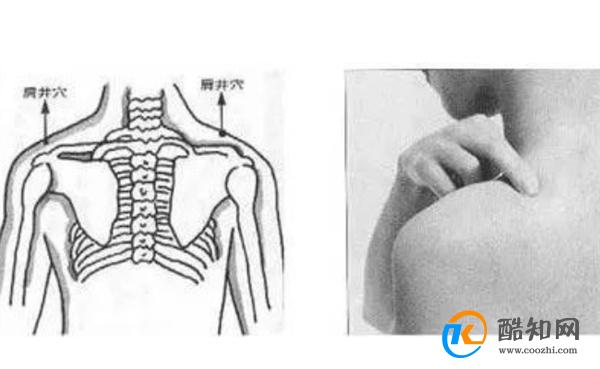 按揉肩井穴的作用与功效