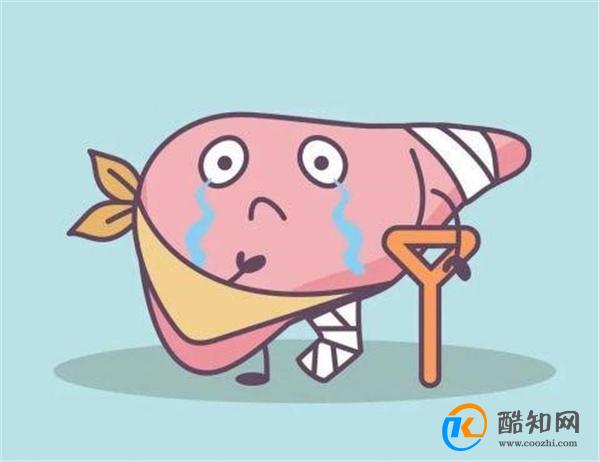 保护肝脏的四个方法  希望你尽早使用