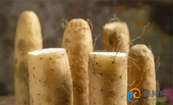 山药是养胃佳品？常吃山药的人能得到3大好处，怎么吃效果好？