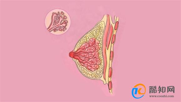 有乳腺增生的人 都是被“气”出来的 真相是什么 别加深误会了