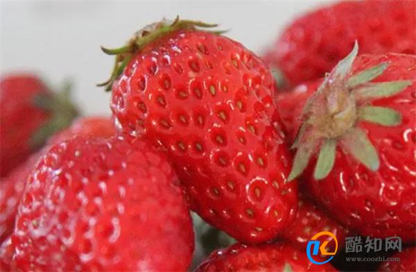 草莓越大膨大素越多  现在水果店的草莓还能买给孩子吃吗 