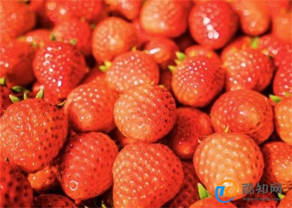 女人养生应该吃什么食物？这些食谱帮你排毒养颜！
