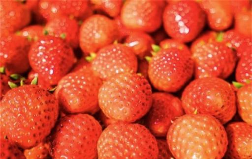 女人养生应该吃什么食物？这些食谱帮你排毒养颜！