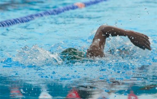 人类游泳历史最长寿世界纪录破了 最新记录是多少