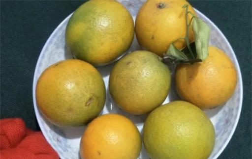 巧妙去除微波炉异味  用这一招  轻轻松松不花钱就把意为给去除啦