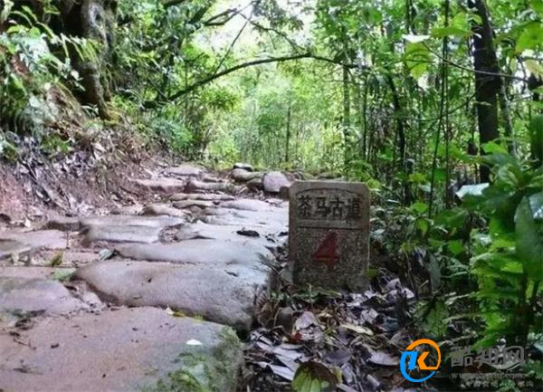 海螺沟在哪里属于哪个市 海螺沟在哪里