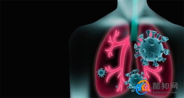 大虾 是肺结节的“助长剂”吗 医生：3肉伤肺聪明人一口不碰
