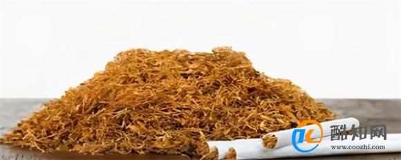 常用擦窗户实用小妙招