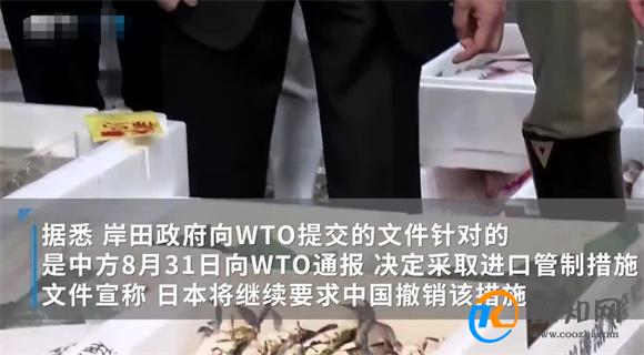 日本就中国水产品禁令向WTO提交文件 中方已表明立场