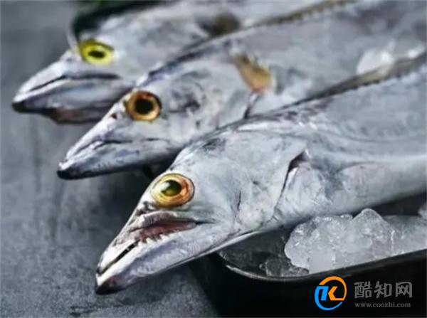 同样是带鱼，黑眼的和黄眼的究竟有什么区别？快看看别再买错了！